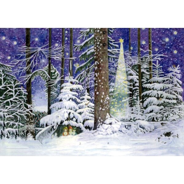Elisabeth Heuberger. Wunder im Wald, 21 x 14,8 cm